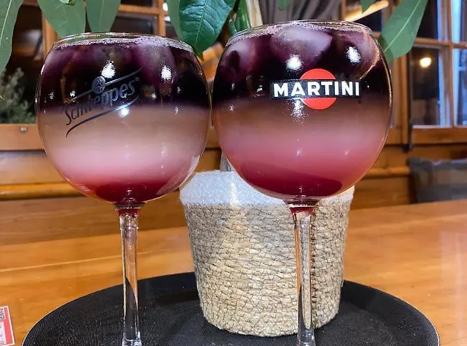 Penzion Le Mont-gele *